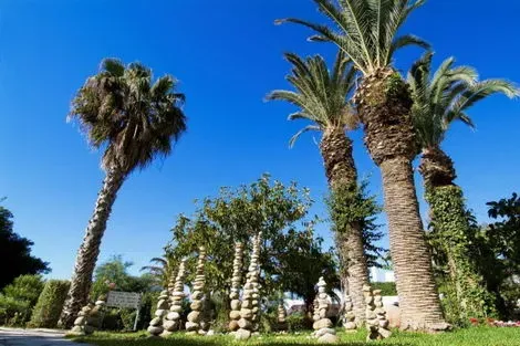 Tunisie : Club Naya Club - Orangers Beach Resort
