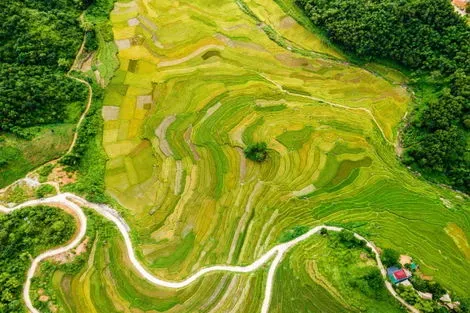 Combiné circuit et hôtel Vietnam Intimiste ext. Phu Quoc - Limité à 16 pers. hanoi Vietnam