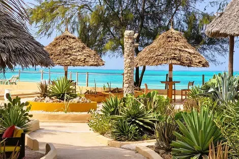 Club Jumbo Reef & Beach Resort jambiani Zanzibar