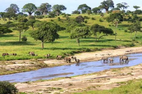 Hôtel Sandies Baobab Beach 4* + Safari 1 nuits nungwi Zanzibar