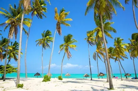 Hôtel Diamonds Mapenzi Beach pwani_mchangani Zanzibar
