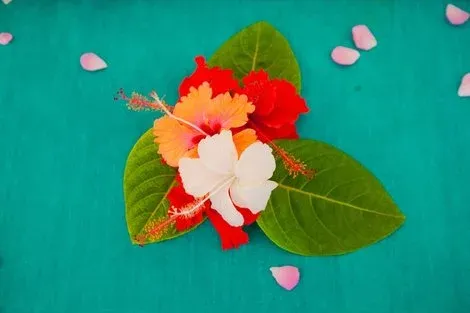 Zanzibar : Hôtel Flame Tree Cottages