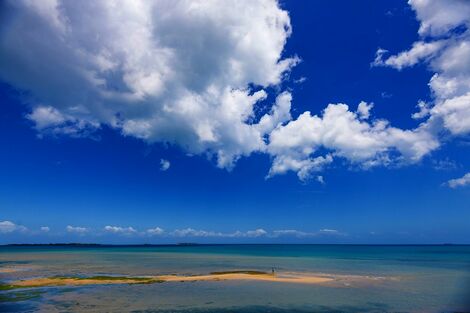 Zanzibar : Hôtel Golden Tulip Zanzibar Resort