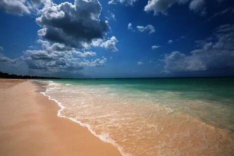 Zanzibar : Hôtel Next Paradise Boutique Resort