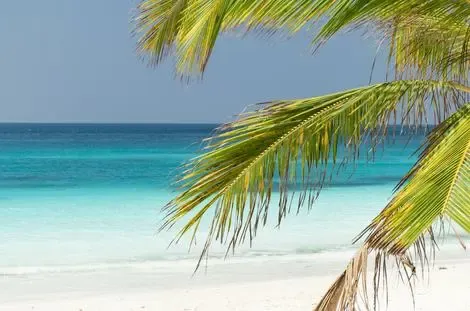 Zanzibar : Hôtel Tikitam Palms Boutique Hotel